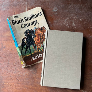 vintage chapter book for children, adventure book for children, The Black Stallion Book Series:  The Black Stallion's Courage #12 written by Walter Farley - view of the front cover