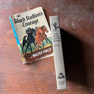 vintage chapter book for children, adventure book for children, The Black Stallion Book Series:  The Black Stallion's Courage #12 written by Walter Farley - view of the spine