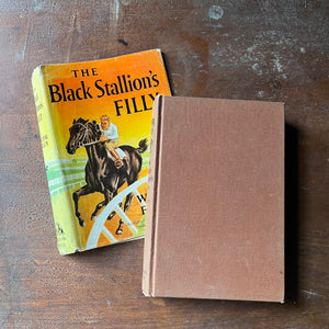 vintage children's chapter book, vintage adventure book for children, The Black Stallion Series - The Black Stallion's Filly written by Walter Farley with illustrations by Milton Menasco - view of the front cover