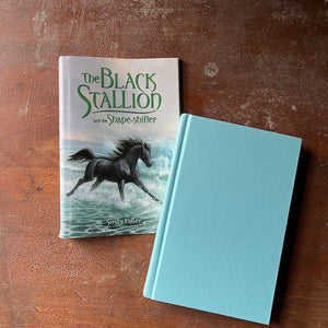 The Black Stallion Book Series, children's chapter book - The Black Stallion and the Shape Sifter by Stephen Farley (the son of Walter Farley) - view of the front cover