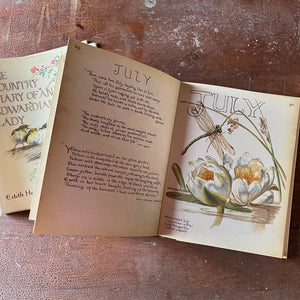 vintage nature sketchbook & diary - The Country Diary of An Edwardian Lady written & illustrated by Edith Holden - view of one of the illustrations in July