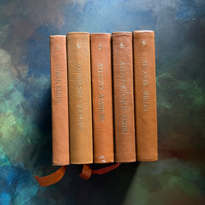 The Easton Press 50th Anniversary Leatherbound Editions-Peterson Field Guides-Set of Five-Atlantic Shores, Shells, Coral Reefs, & Fishes-view of the leatherbound spines with gold embossing