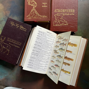 The Easton Press 50th Anniversary Leatherbound Editions-Peterson Field Guides-Set of Four-Geology, Mammals, Atmosphere and Freshwater Fish-view of the illustrations