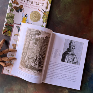 The Girl Who Drew Butterflies-How Maria Merian's Art Changed Science-written by Joyce Sidman with illustrations by Maria Merian-a Robert F. Sibert Medal Winner-living science children's book-view of the illustrations