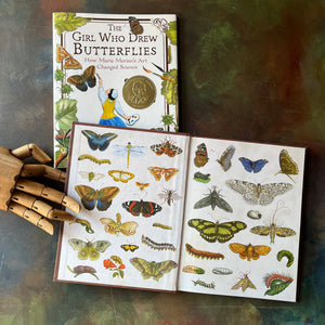 The Girl Who Drew Butterflies-How Maria Merian's Art Changed Science-written by Joyce Sidman with illustrations by Maria Merian-a Robert F. Sibert Medal Winner-living science children's book-view of the inside cover