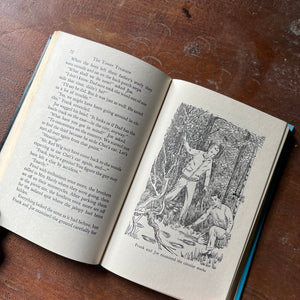 vintage children's book, vintage chapter books, vintage adventure books for boys, The Hardy Boys Mystery Series - The Hardy Boys #1 The Tower Treasure written by Franklin W. Dixon - view of the illustrations