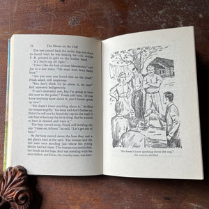 vintage children's chapter book, vintage adventure book for boys, The Hardy Boys Mystery Series Book - The Hardy Boys #2:  The House on the Cliff written by Franklin W. Dixon - view of the illustrations