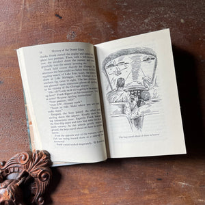 vintage children's chapter book, vintage adventure books for boys, homeschool bookshelf, The Hardy Boys Mysteries #40 - Mystery of the Desert Giant written by Franklin W. Dixon - view of the illustrations