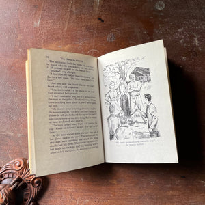 vintage children's chapter book, vintage adventure book for boys, homeschool library - The Hardy Boys Mysteries Book #2:  The House on the Cliff written by Franklin W. Dixon - view of the illustrations