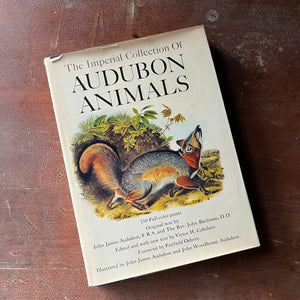 vintage nature art book, vintage art prints - The Imperial Collection of Audubon Animals by John James Audubon - view of the dust jacket's front cover with an illustration of a mammal on the front - maybe a fox or squirrel? 