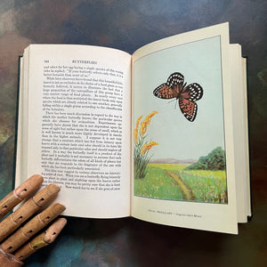 The Nature Library-Butterflies-1926 Edition-Clarence M. Weed-vintage nature book of Butterflies-view of the full-page, full-color illustrations