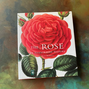 The Rose an Illustrated History written by Peter Harkness with illustrations by Pierre Joseph Redoute-rose flower prints for framing-nature book-coffee table book-view of the dust jacket's front cover