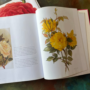 The Rose an Illustrated History written by Peter Harkness with illustrations by Pierre Joseph Redoute-rose flower prints for framing-nature book-coffee table book-view of the full-page color illustrations - perfect for framing