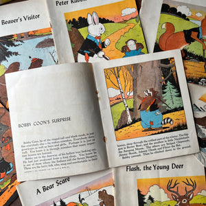 Thorton Burgess Animal Library-8 Colorful Storybooks in Original Box-vintage children's books-inside cover/title page & copyright information in Robby Coon's Surprise - this shows what each book looks like on the first pages