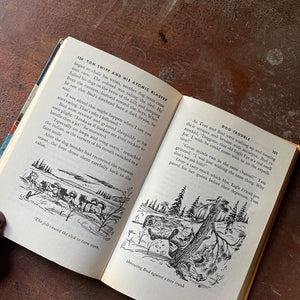 vintage children's adventure chapter books for boys, The New Tom Swift Jr. Adventure Series Book - Tom Swift and His Atomic Earth Blaster written by Victor Appleton II with illustrations by Graham Kaye - view of the illustrations