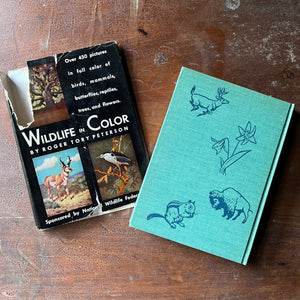 vintage nature guide - Wildlife in Color written & illustrated (includes other illustrators as well) by Roger Tory Peterson - sponsored by National Wildlife Federation - view of the back cover with illustrations of a deer, a wildflower, a buffalo & a chipmunk