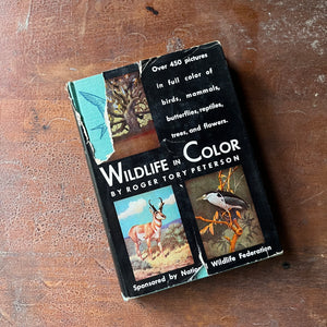 vintage nature guide - Wildlife in Color written & illustrated (includes other illustrators as well) by Roger Tory Peterson - sponsored by National Wildlife Federation - view of the dust jacket's front cover