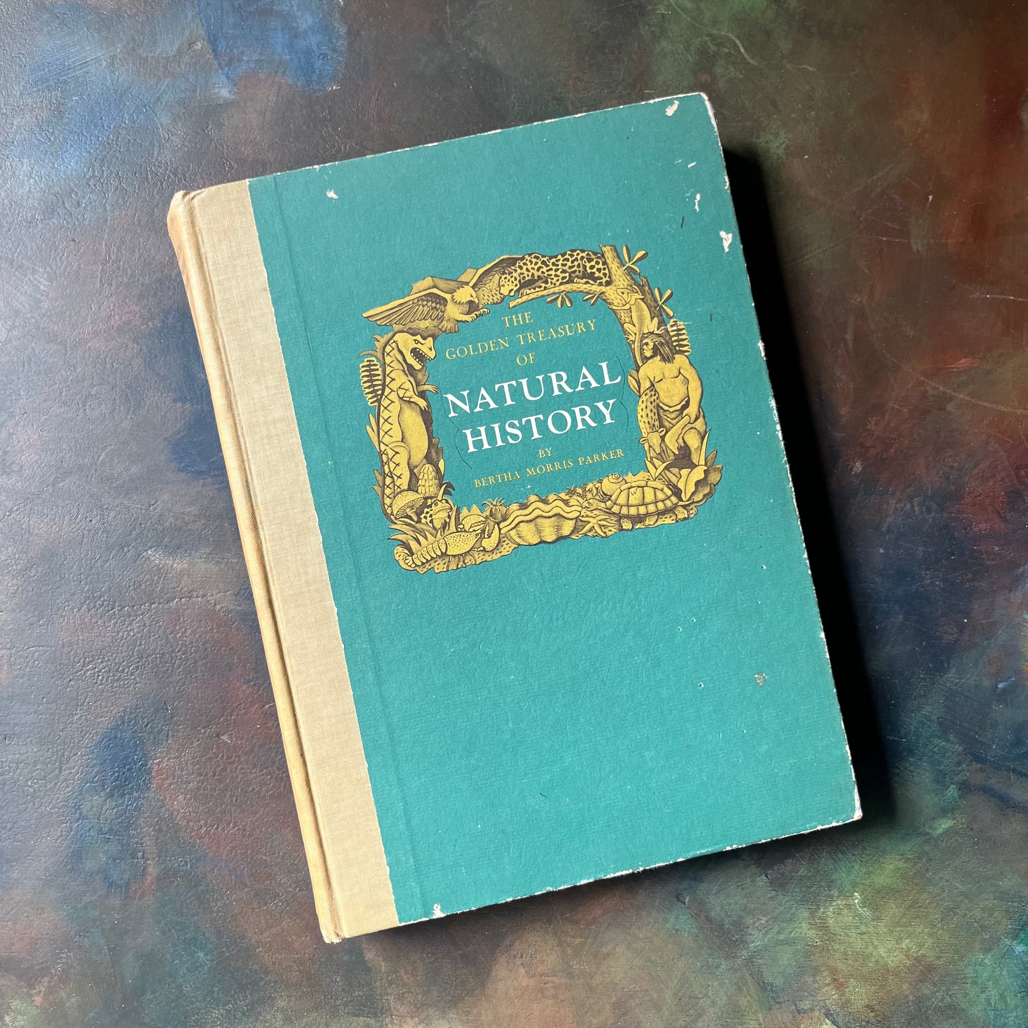 vintage children's non-fiction-vintage non-fiction-nature books-natural history books-The Golden Treasury of Natural History by Bertha Morris Parker-view of the front cover