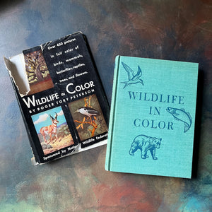 vintage nature guide - Wildlife in Color written & illustrated (includes other illustrators as well) by Roger Tory Peterson - sponsored by National Wildlife Federation - view of the front cove