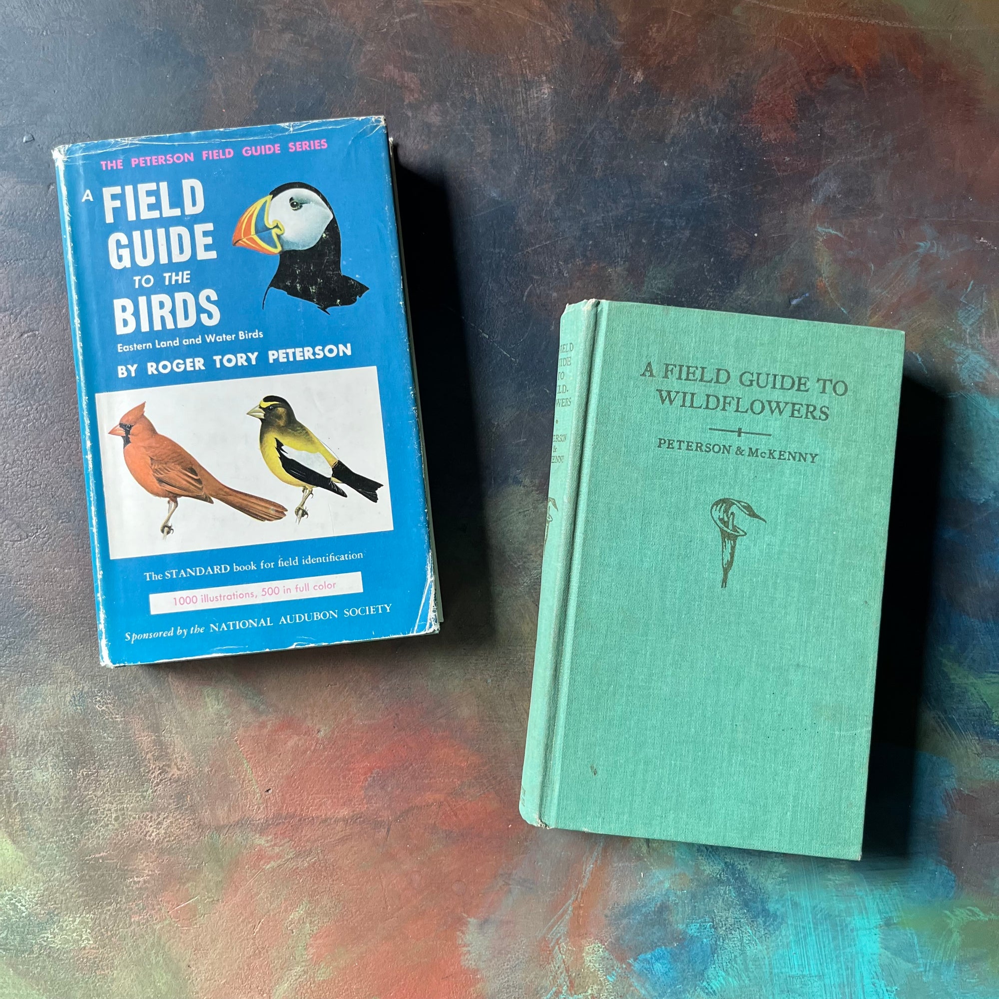 vintage nature guides - Pair of Peterson Field Guides-Field Guide to the Birds & Field Guide to Wildflowers - view of the front covers