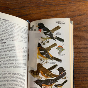 50th Anniversary Edition of Peterson's Field Guide to Birds of the Eastern United States