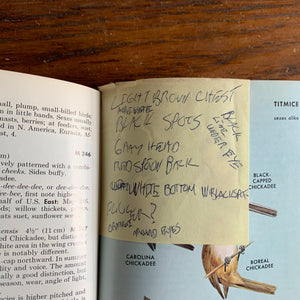Sticky Note with bird characteristics inside the Peterson Field Guide to Birds of the Eastern United States