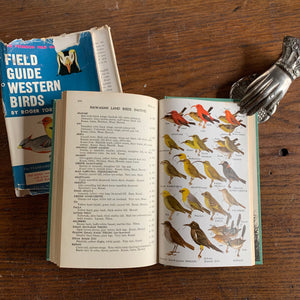 A Field Guide to the Birds of Britian - Full Page, Color Illustrations
