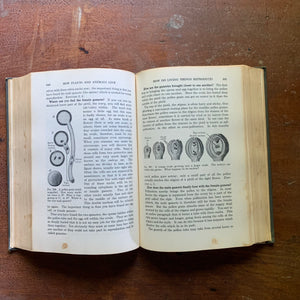 Adventures in Living Things: A General Biology - 1938 Edition - inside view