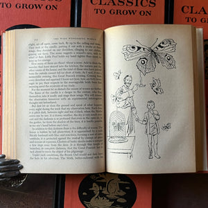 Classics to Grow On Book Set - Five Book Set - full page illustrations