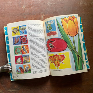 How and Why Wonder Book of Beginning Science full page illustrations in full color - flowers