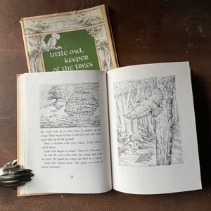 Little Owl, Keeper of the Trees by Ronald and Ann Himler - view of the full-page illustrations by Ronald Himler