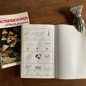 Mushrooms of North America - Inside View