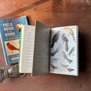 Log Cabin Vintage – vintage non-fiction – nature books – bird identification book – field guide – Peterson Field Guide - A Field Guide to the Birds Easter Land and Water Birds - Written by Roger Tory Peterson - view of the full-page color illustrations