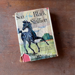 Log Cabin Vintage – vintage children’s book, children’s book, chapter book, The Black Stallion Series - Son of the Black Stallion by Walter Farley with illustrations by Milton Menasco - view of the dust jacket's front cover