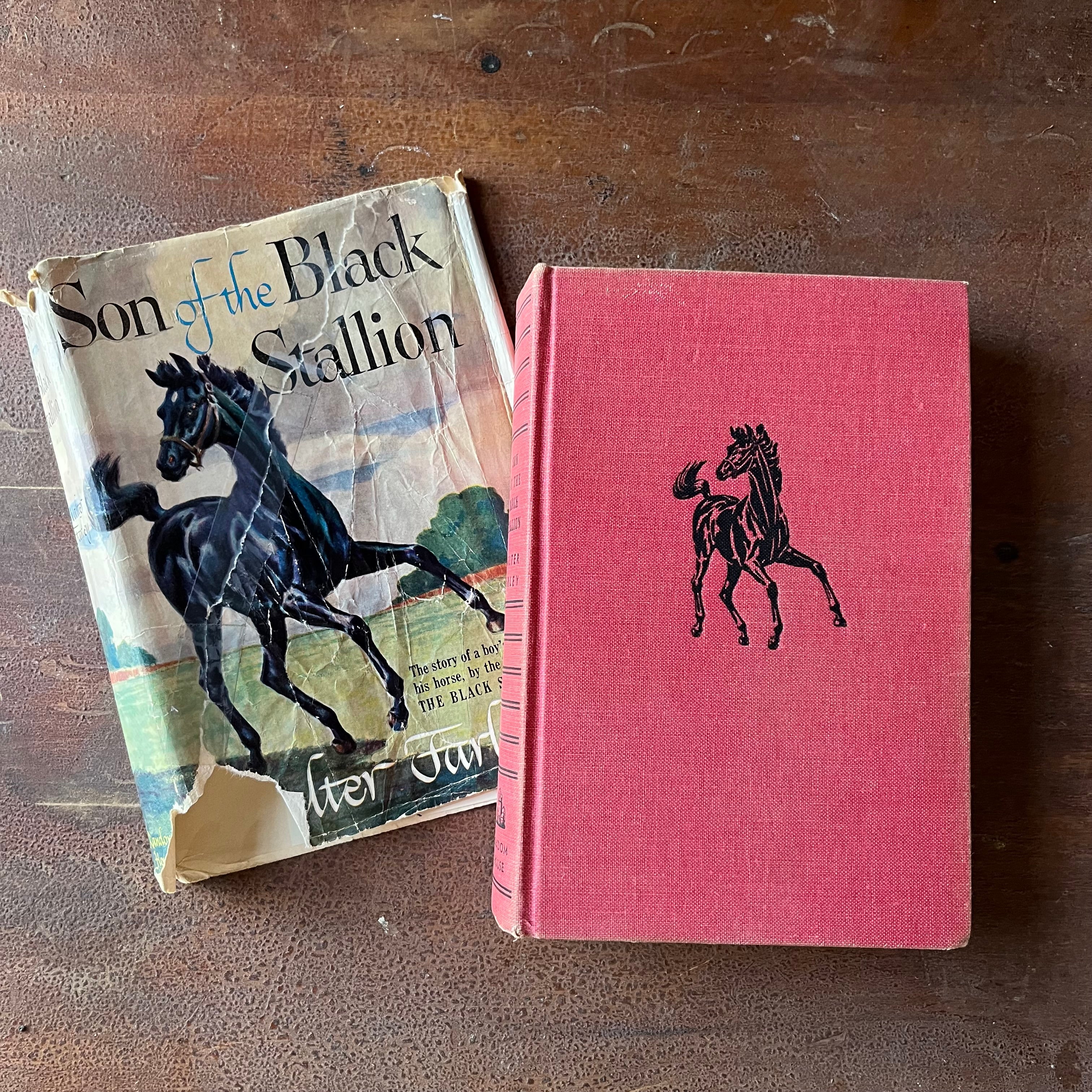 Log Cabin Vintage – vintage children’s book, children’s book, chapter book, The Black Stallion Series - Son of the Black Stallion by Walter Farley with illustrations by Milton Menasco - view of the front cover