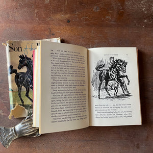 Log Cabin Vintage – vintage children’s book, children’s book, chapter book, The Black Stallion Series - Son of the Black Stallion by Walter Farley with illustrations by Milton Menasco - view of the illustrations