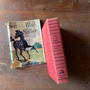 Log Cabin Vintage – vintage children’s book, children’s book, chapter book, The Black Stallion Series - Son of the Black Stallion by Walter Farley with illustrations by Milton Menasco - view of the spine