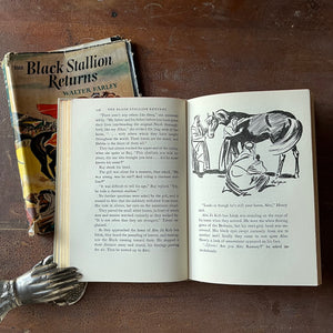 Log Cabin Vintage – vintage children’s book, children’s book, chapter book, The Black Stallion Series - The Black Stallion Returns by Walter Farley with Illustrations by Harold Eldridge - view of the illustrations