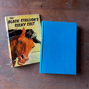 Log Cabin Vintage – vintage children’s book, children’s book, chapter book, The Black Stallion Series - The Black Stallion's Sulky Colt by Walter Farley with Illustrations by Harold Eldridge - view of the front cover