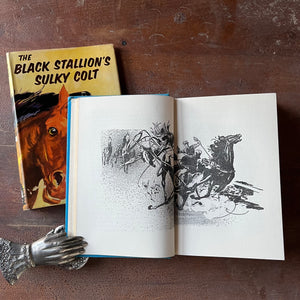 Log Cabin Vintage – vintage children’s book, children’s book, chapter book, The Black Stallion Series - The Black Stallion's Sulky Colt by Walter Farley with Illustrations by Harold Eldridge - view of the illustrations