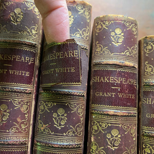 The Riverside Shakespeare in Six Volumes, Octavo by Richard Grant White 1883 - Six Volume Complete Set - William Shakespeare