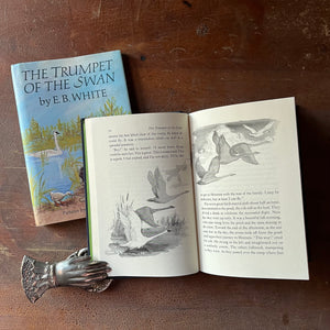 The Trumpet of the Swan by E. B. White with Illustrations by Edward Frascino - view of the illustrations