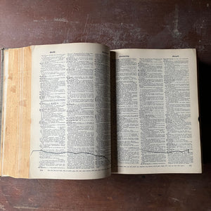 Log Cabin Vintage – vintage non-fiction, vintage dictionary - Webster's New Twentieth Century Dictionary Unabridged by Noah Webster and Jean L. McKechnie 1966 Second Edition - view of the condition of the book