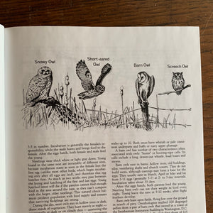 Pennsylvania Game Commission Wildlife Notes