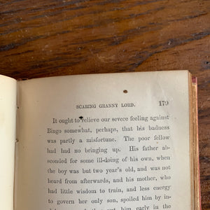 The Red Shanty Boys or Pictures of New England School Life 30 Years Ago written by Park Ludlow-antique novel-view of the condition of the book