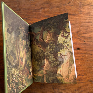 The Merry Adventures of Robin Hood by Howard Pyle - A 2016 Barnes & Noble Leather-Bound Edition